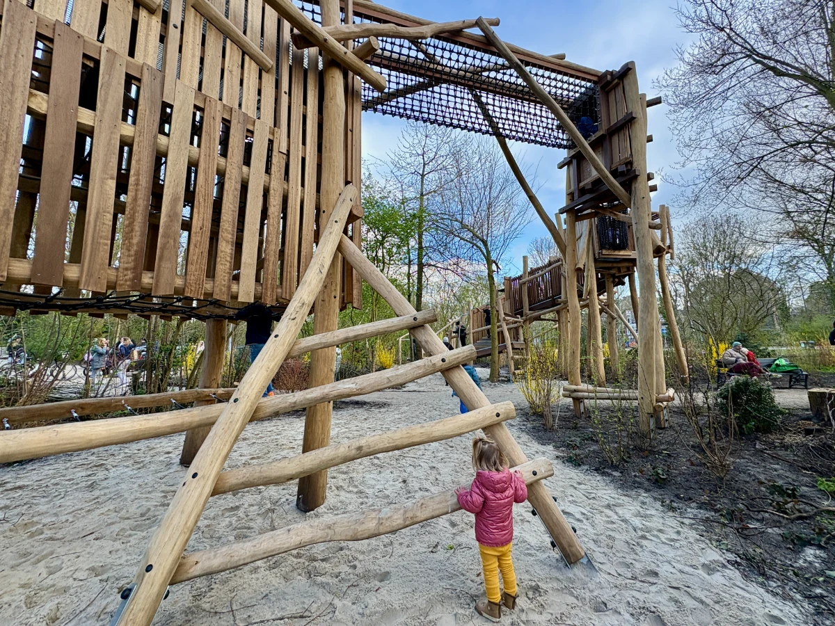 Girl stands at the base of a rustic wooden ladder leading to climbing towers with rope and net walkway bridge connecting the two