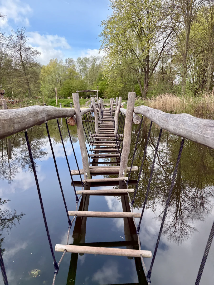 Natural wood and rope bridge over water with marshland and forest beyond