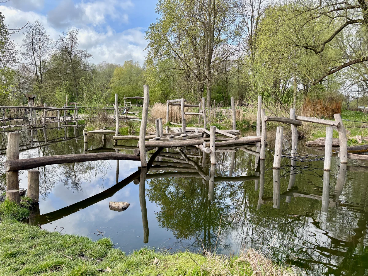Natural wooden obstacle course over water in a park setting
