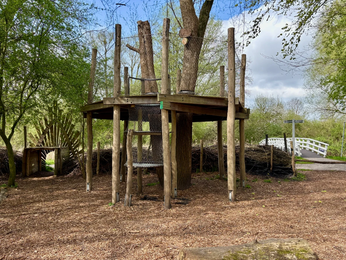 Elevated wooden platform around tree in a park with fence and white wooden bridge behind