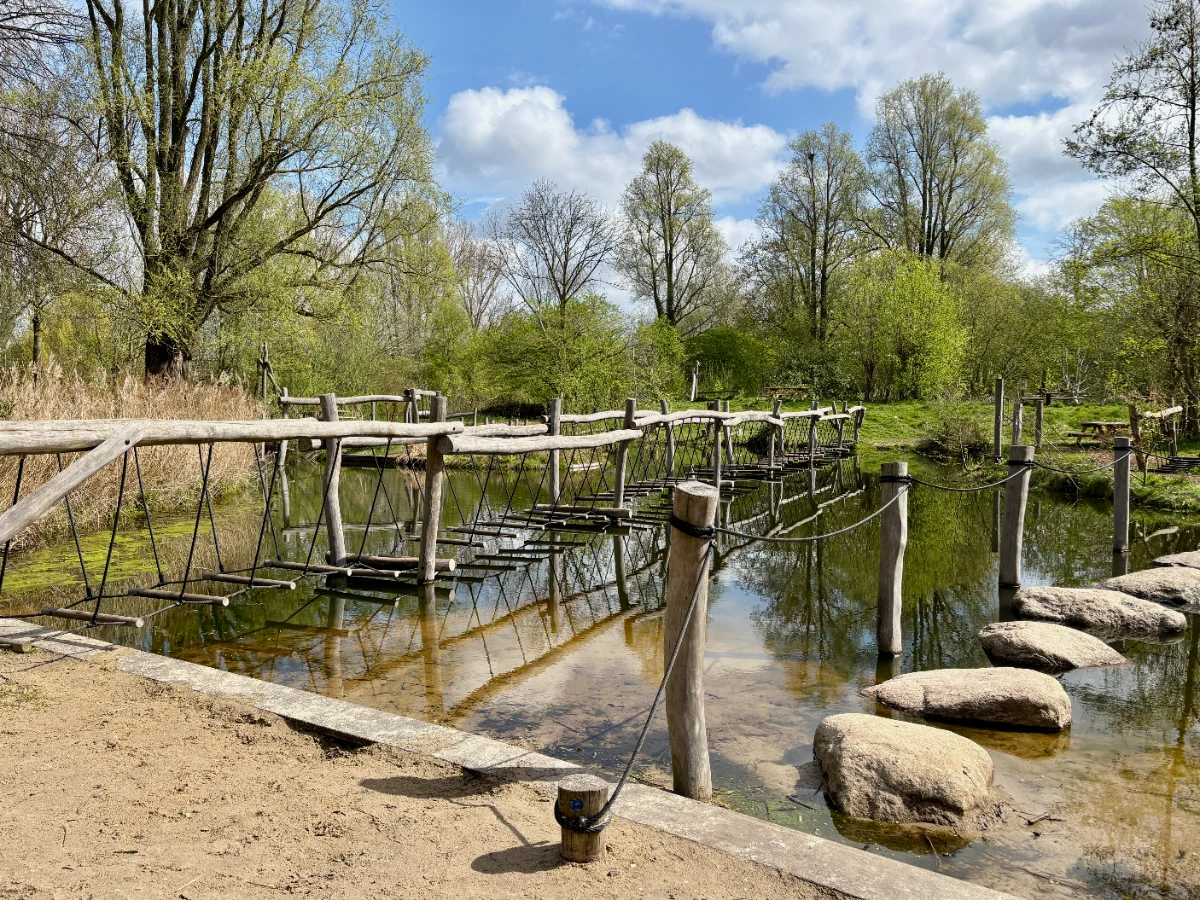 Rope bridge and natural stepping stones over water in a park