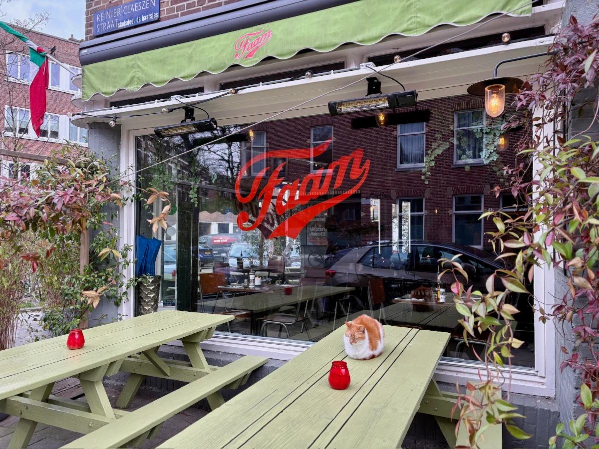Cat sleeping on a green picnic table outside a pizza restaurant with red logo on the windows and green awning