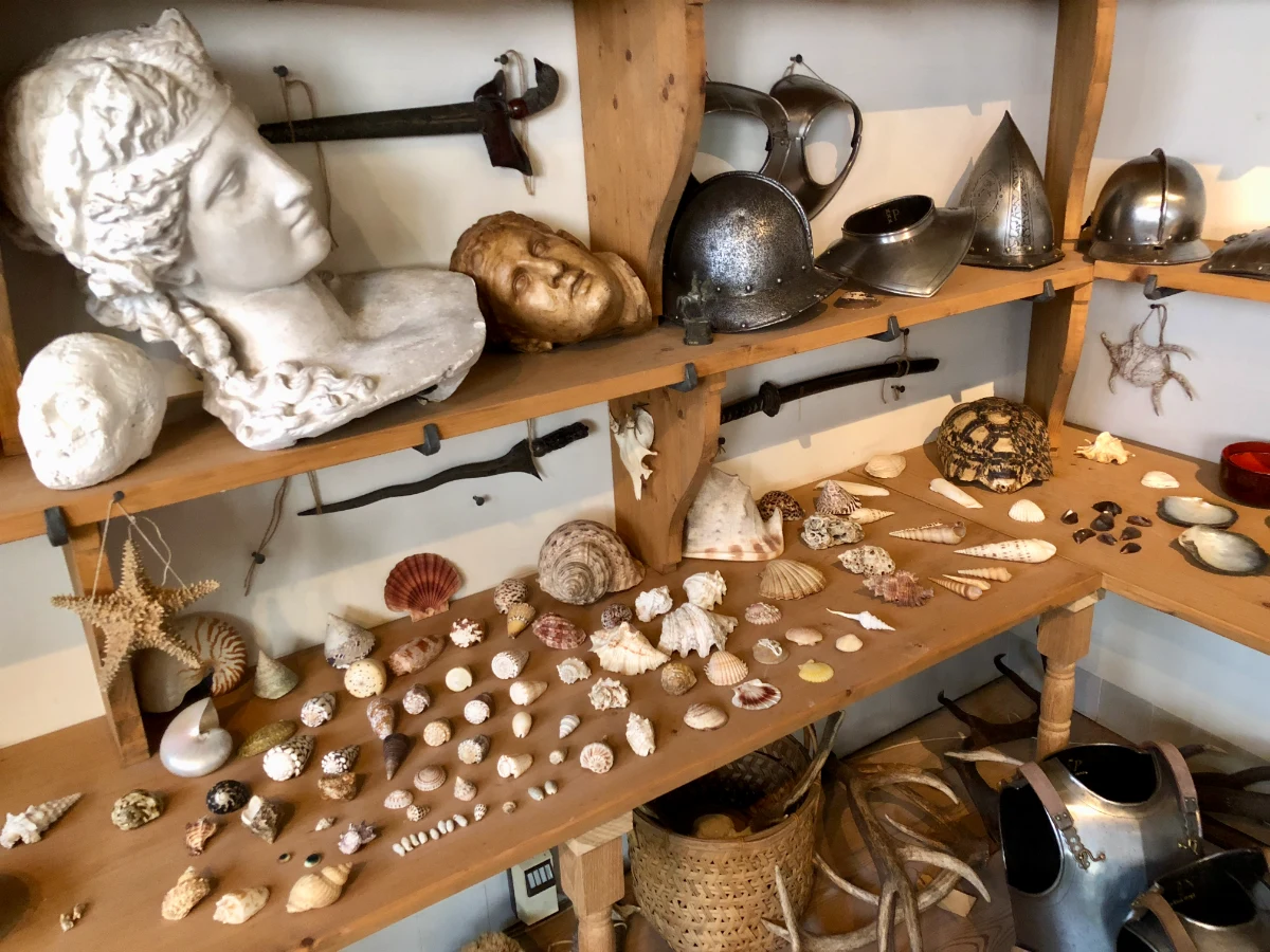 Shelves with seashell collection on display alongside marble sculpture pieces and knight armour
