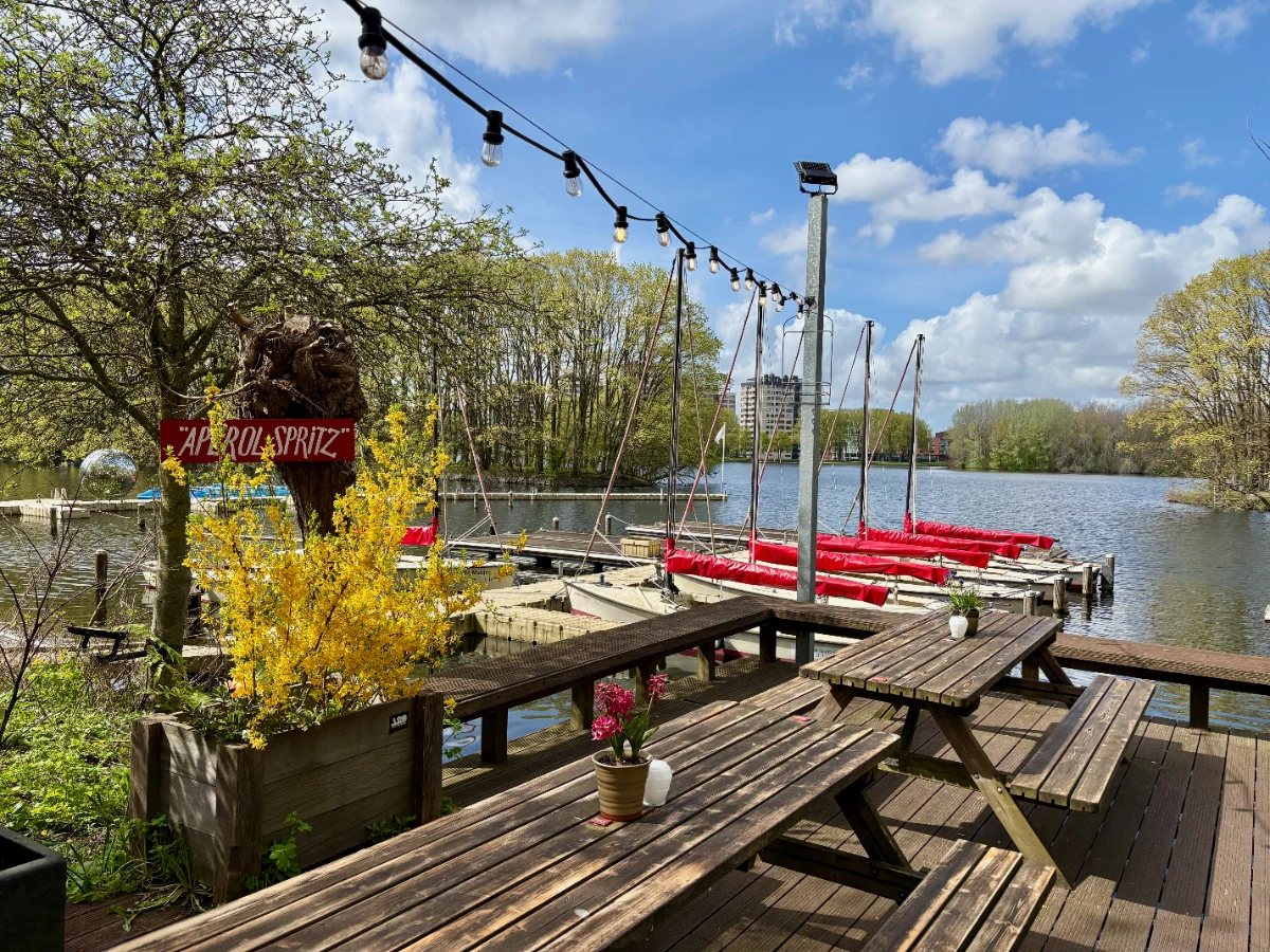 Picnic tables and yellow flowering plant on terrace with view of lake, forest, and boats