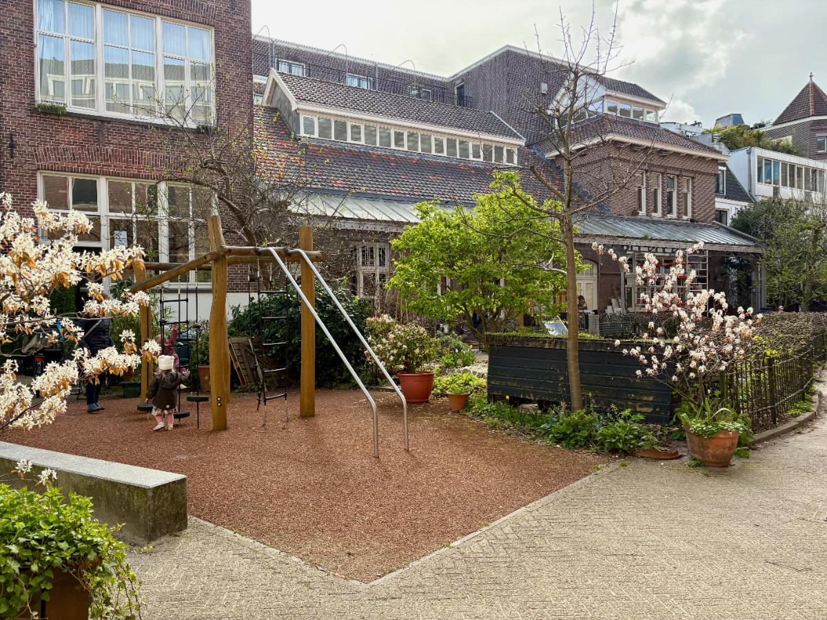 Wooden frame with climbing nets set in a sunny residential courtyard with spring trees and bushes around